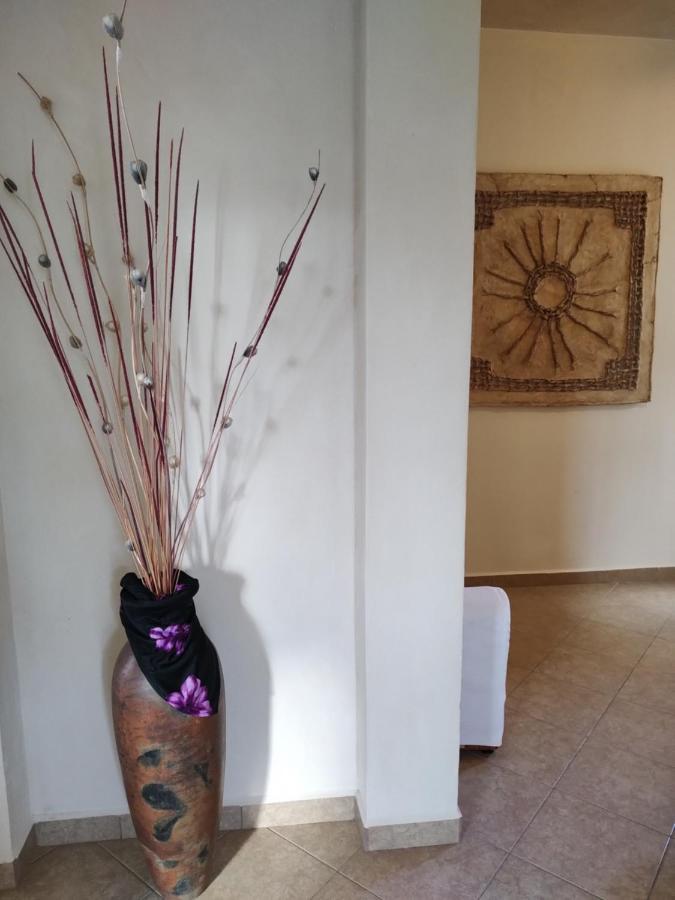 Balanca Studios Puerto Morelos Luaran gambar